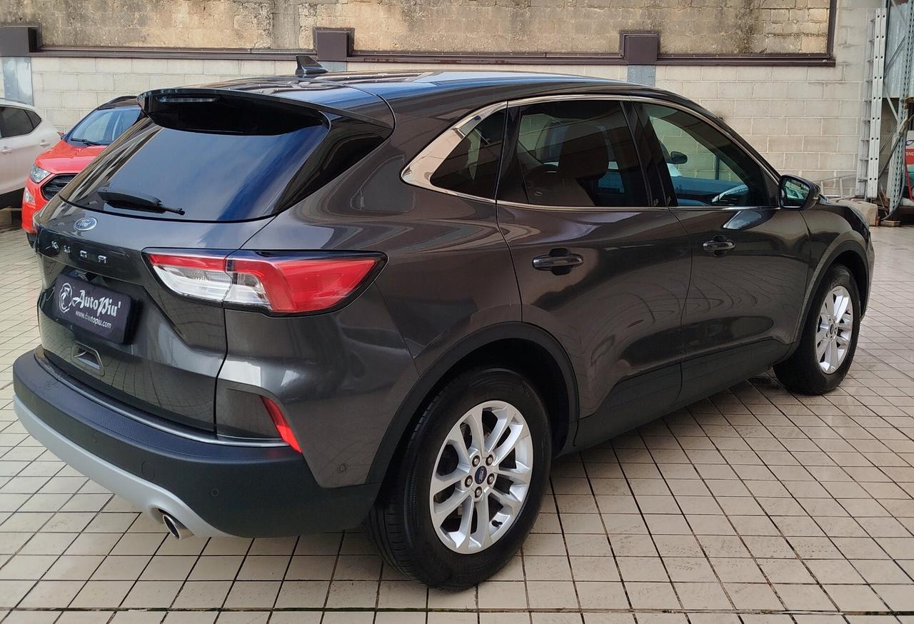 Ford Kuga 1.5 EcoBlue 120 CV aut. 2WD Titanium X