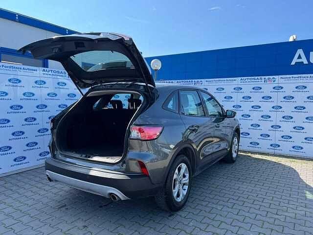 Ford Kuga 1.5 EcoBlue 120 CV aut. 2WD Connect