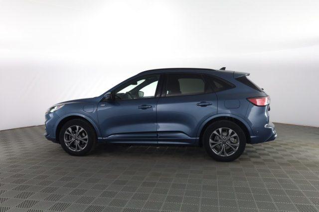 FORD Kuga Kuga 2.5 Plug In Hybrid 225 CV CVT 2WD ST-Line
