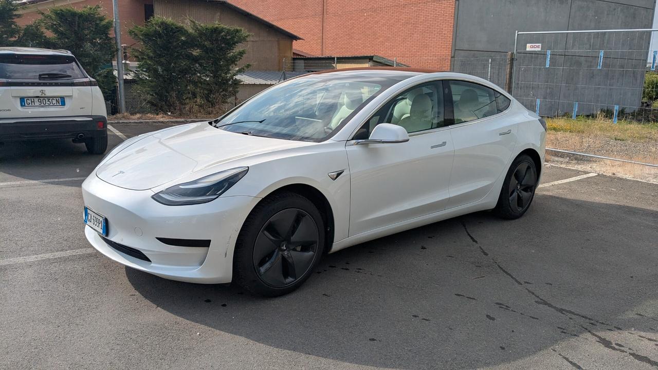 Tesla Model 3 Model 3 Standard RWD Plus