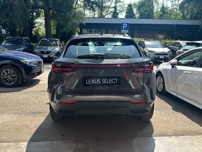 Lexus NX Hybrid Business 4WD