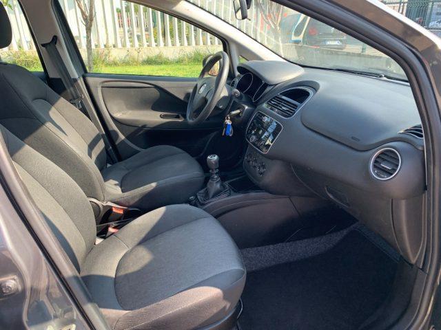 FIAT Punto 1.2 8V 5 porte Young