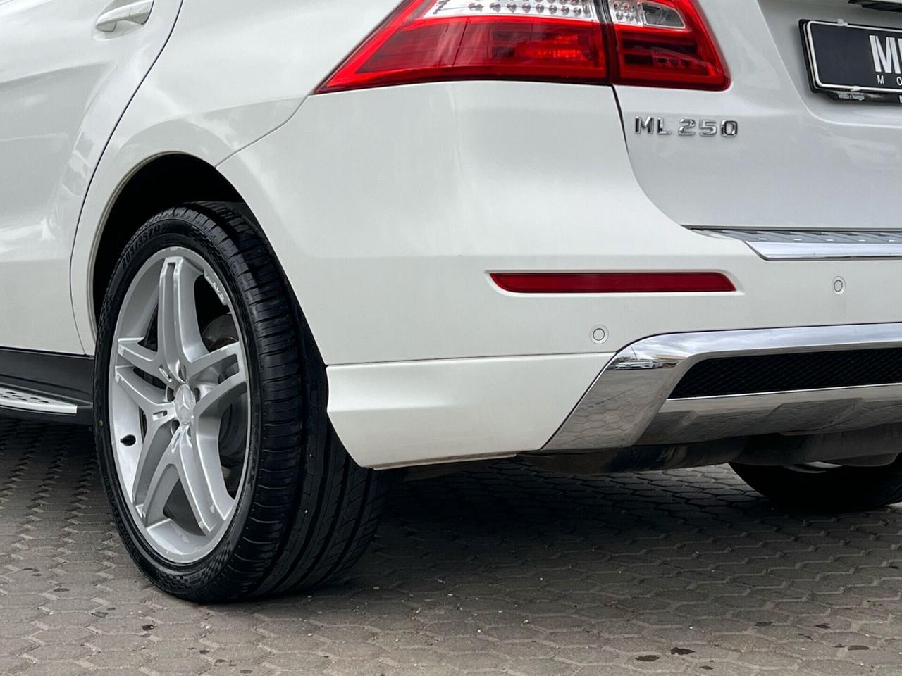 Mercedes-benz ML 250 ML 250 BlueTEC 4Matic Premium