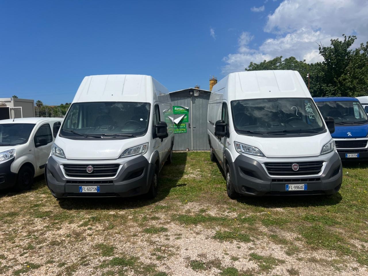 Fiat Ducato maxi. Distribuzione eseguita