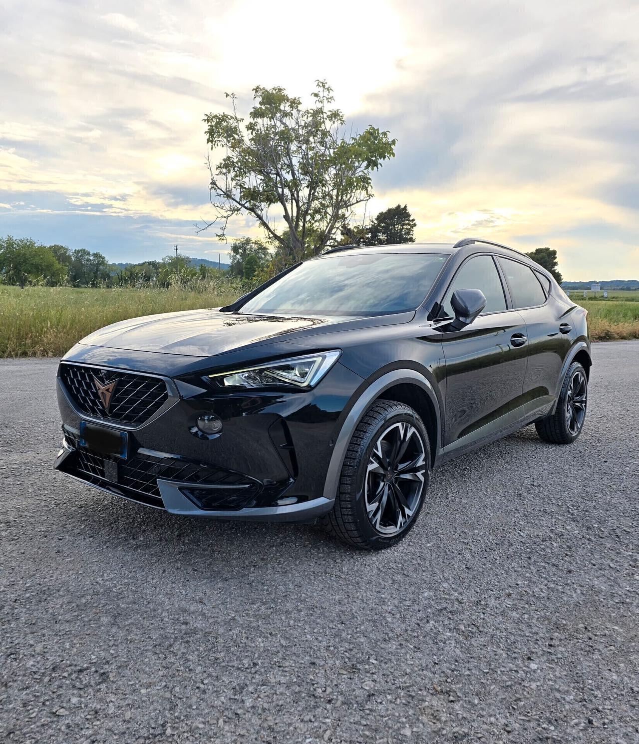 Cupra Formentor 2.0 TDI 4Drive DSG 4x4