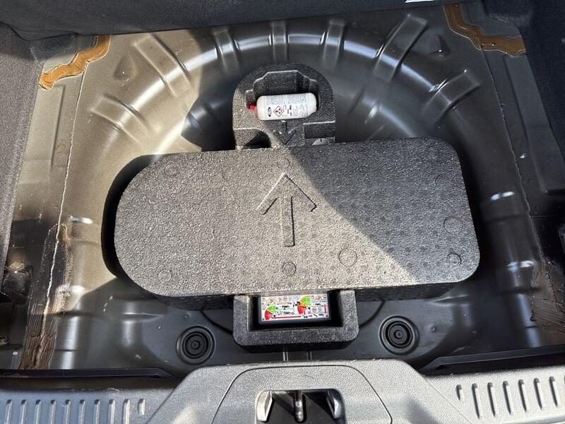 Ford Focus Focus 1.5 EcoBlue 120 CV automatico 5p. Business Co-Pilot