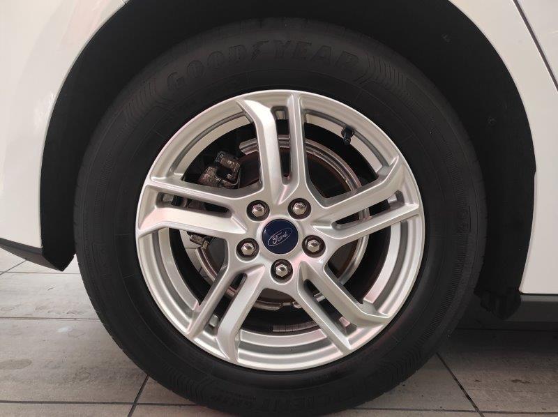FORD Focus (AUTOCARRO) 1.5 EcoBlue 95 CV 5p. Business
