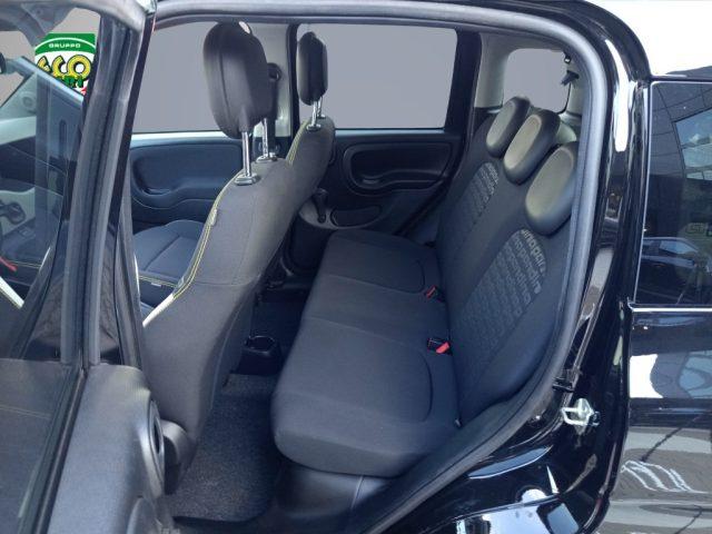 FIAT Panda 1.0 FireFly S&S Hybrid Pandina