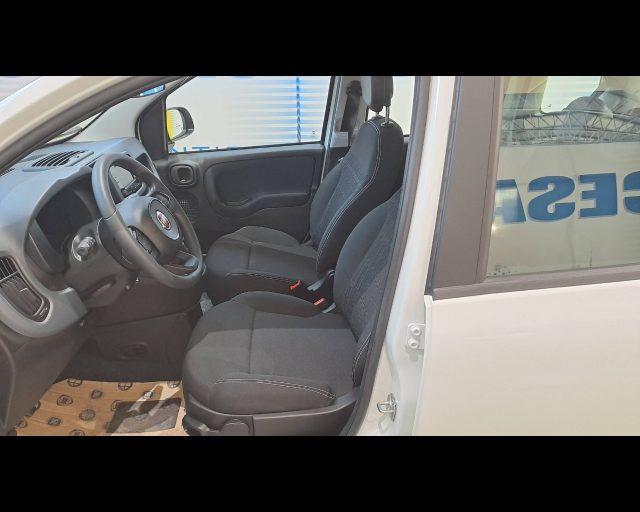 FIAT Panda 1.0 firefly hybrid Icon s&s 70cv 5p.ti
