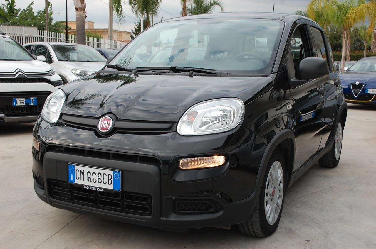 Fiat Panda 1.0 firefly 70CV hybrid City Life S&S Uff Italy