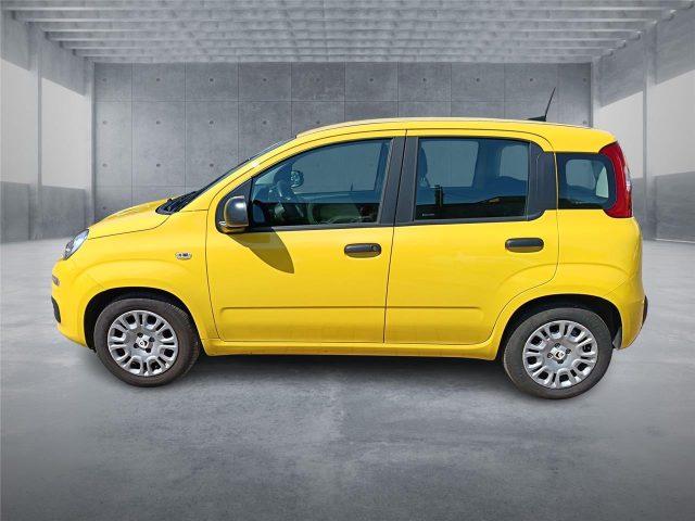 FIAT Panda 3ª serie 1.0 FireFly S&S Hybrid Pop