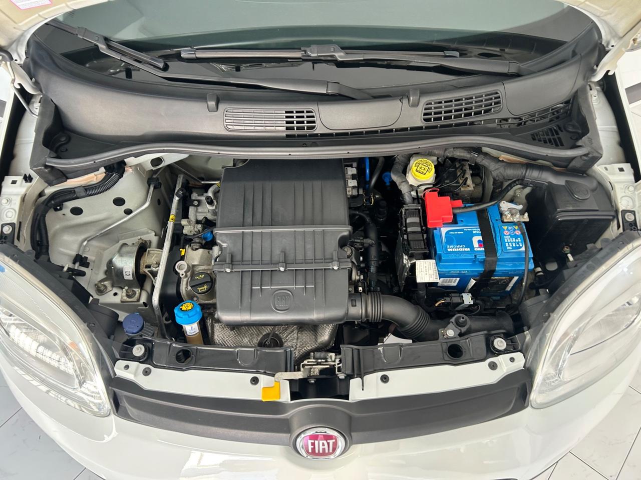 Fiat Panda 1.2 Lounge PARI AL NUOVO