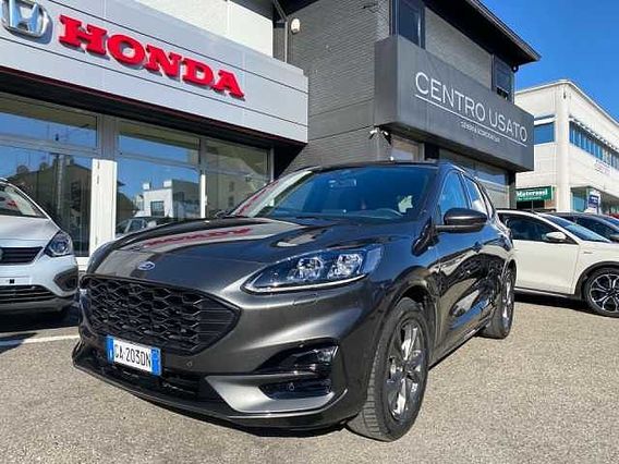 Ford Kuga 1.5 EcoBlue 120 CV aut. 2WD ST-Line X