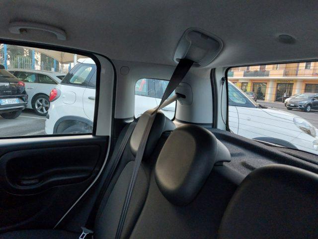 FIAT Panda 1.0 FireFly S&S Hybrid 5 posti Sedile reg altezza