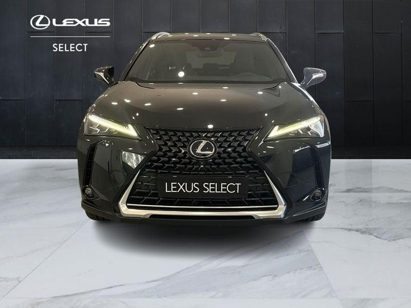 Lexus UX UX 250h 2.0 Luxury cvt