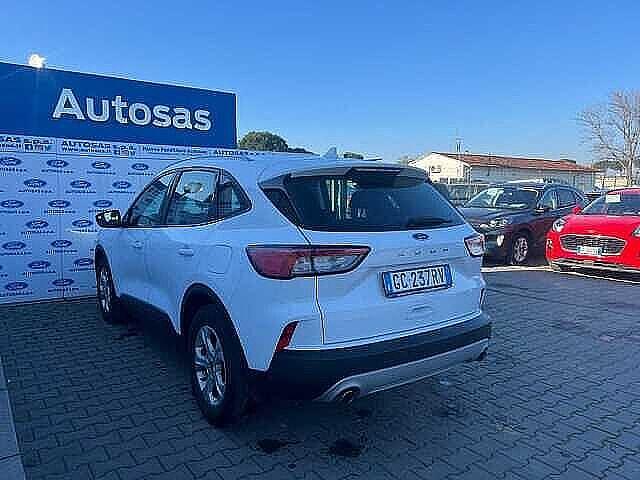 Ford Kuga 1.5 EcoBlue 120 CV 2WD Titanium Business