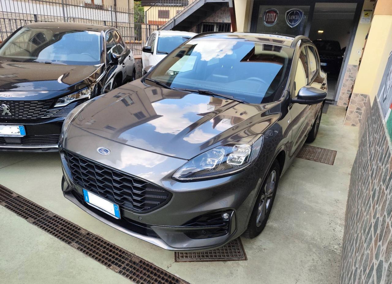 Ford Kuga 1.5 aut. ST-Line X 120cv - 2021