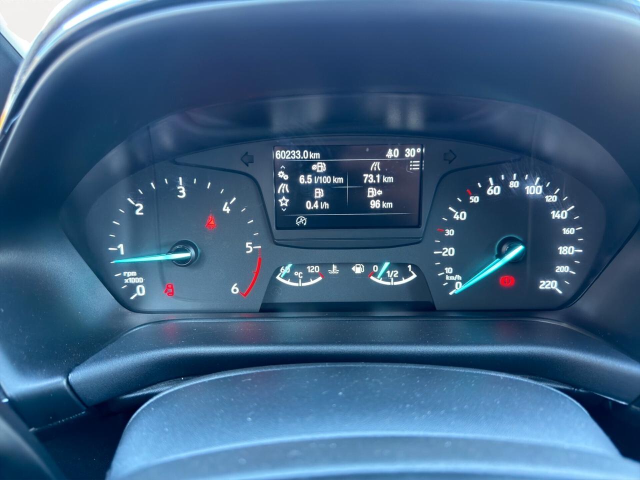 Ford Fiesta 1.5 EcoBlue 86 Cv Titanium - 2020