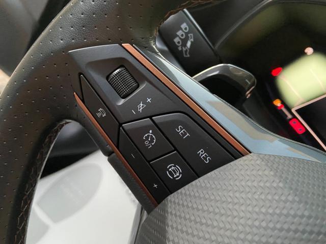 CUPRA Formentor 2.0 TDI 150 CV 4Drive DSG TETTO APR/PAN