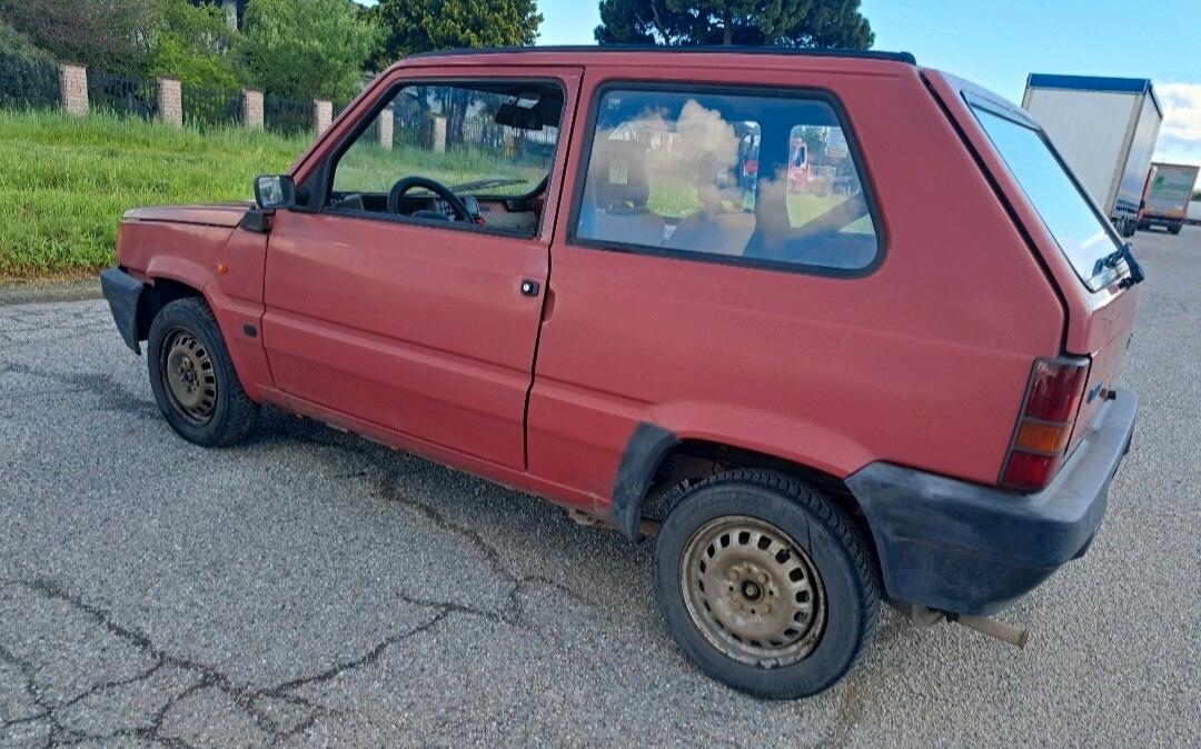 Fiat Panda 1100 i.e. cat Young