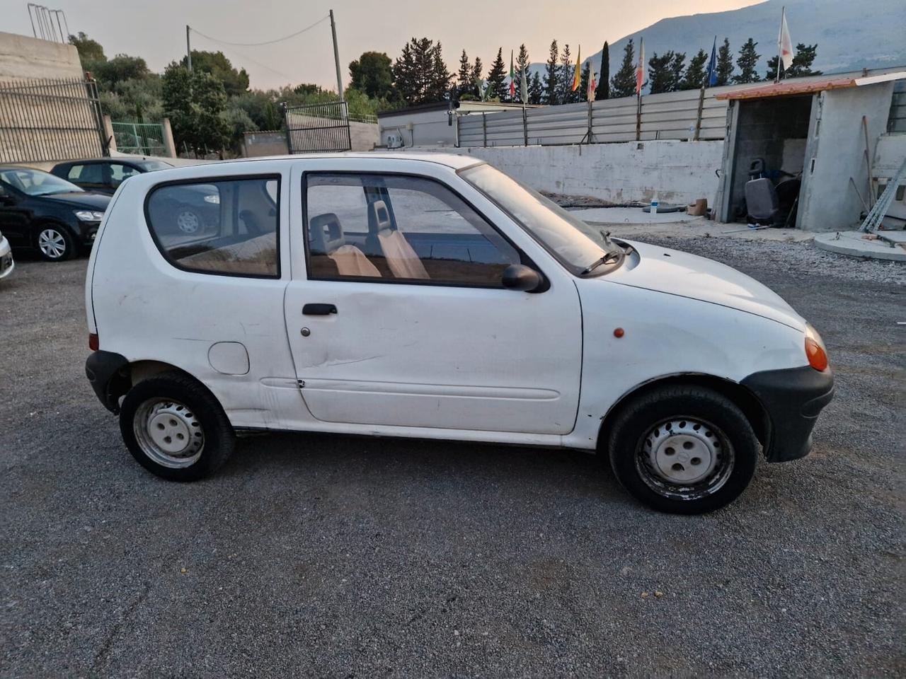 Fiat Seicento 900i cat Young