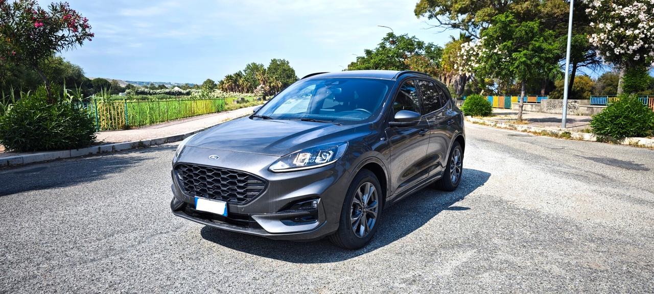 Ford Kuga 2.0 EcoBlue 120 CV aut. 2WD ST-Line