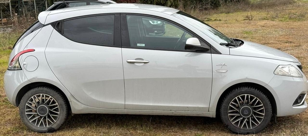 Ypsilon 1.3 MJT 16V 95 CV 5 porte S&S Platinum