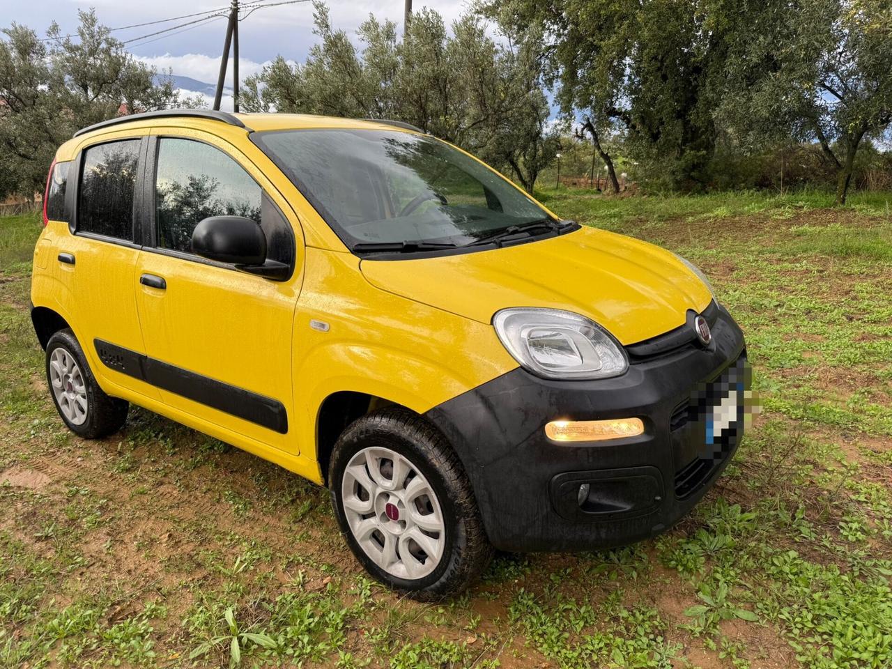 Fiat Panda 1.3 MJT S&S 4x4