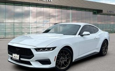 FORD Mustang Fastback 2.3 EcoBoost