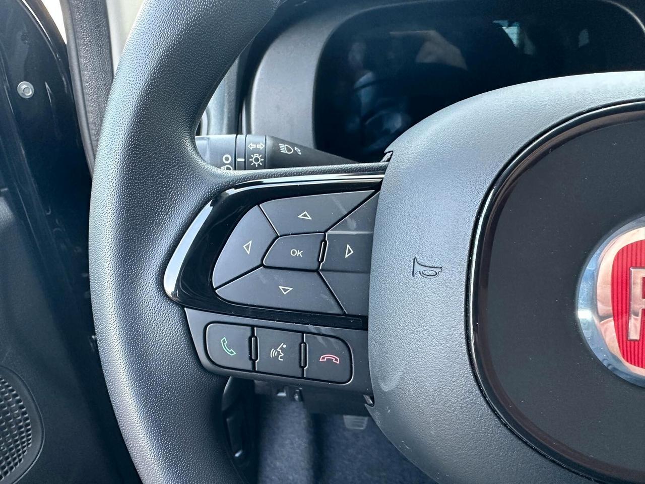 FIAT Panda 3ª serie Panda 1.0 FireFly S&S Hybr...