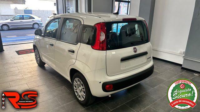 FIAT Panda 1.0 FireFly S&S Hybrid Pandina Adatta Neopatentati