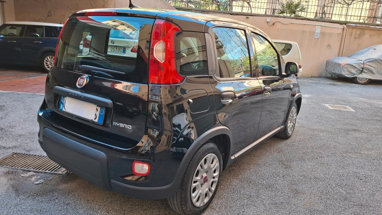 Fiat Panda 1.0 FireFly S&S Hybrid City Life
