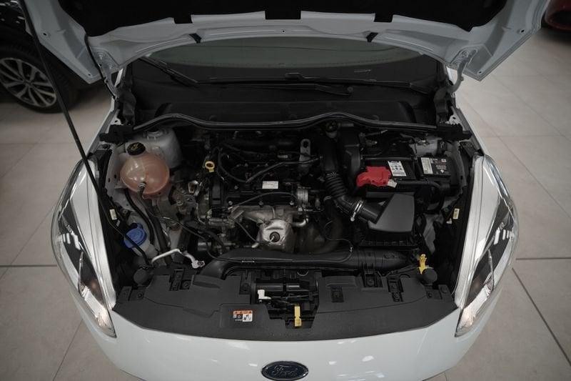 Ford Fiesta VII 2017 5p 5p 1.1 Titanium 85cv my18