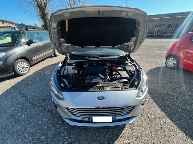 Ford Focus 1.5 EcoBlue 120 CV automatico SW Business Co-Pilot