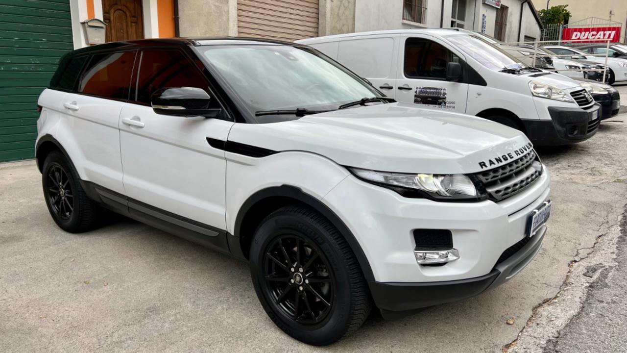 Land Rover Range Rover Evoque Range Rover Evoque 2.2 TD4 5p. Pure