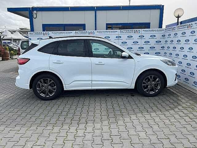 Ford Kuga 1.5 EcoBlue 120 CV 2WD ST-Line X