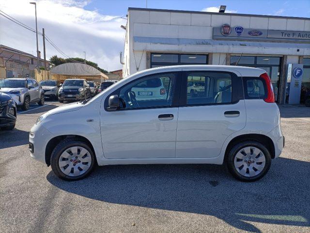 FIAT Panda 1.2 Pop OTTIME CONDIZIONI, PREZZO REALE!!