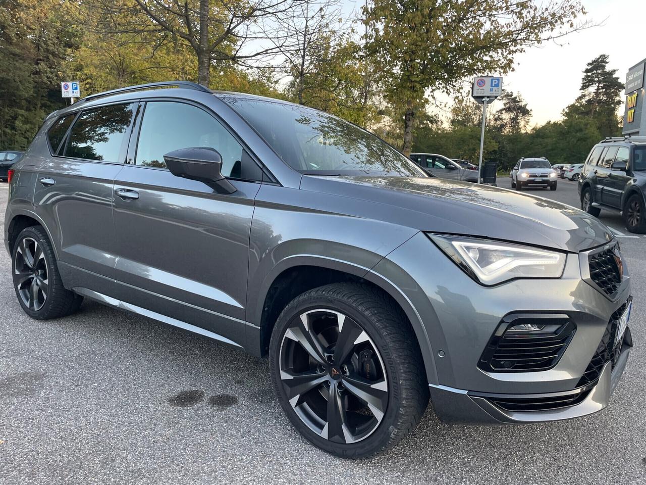 Cupra Ateca 2.0 TSI DSG 4Drive VZ*Automatik*Navi*