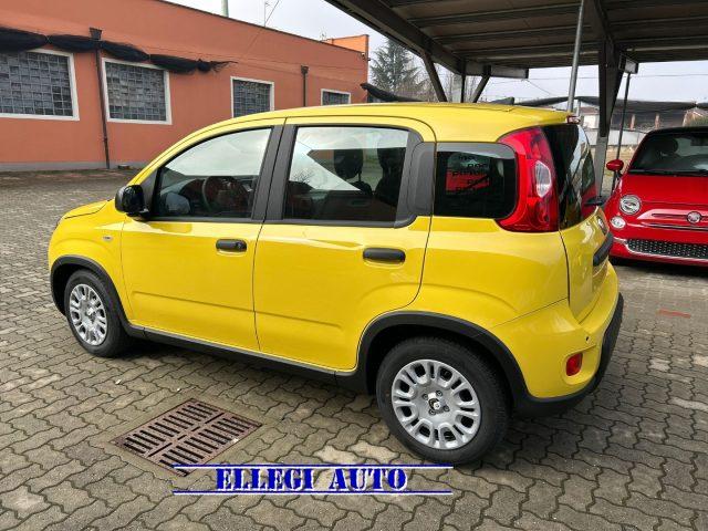 FIAT Panda PROMO FINANZ 1.0 HYBRID+PACK CITY KM 0