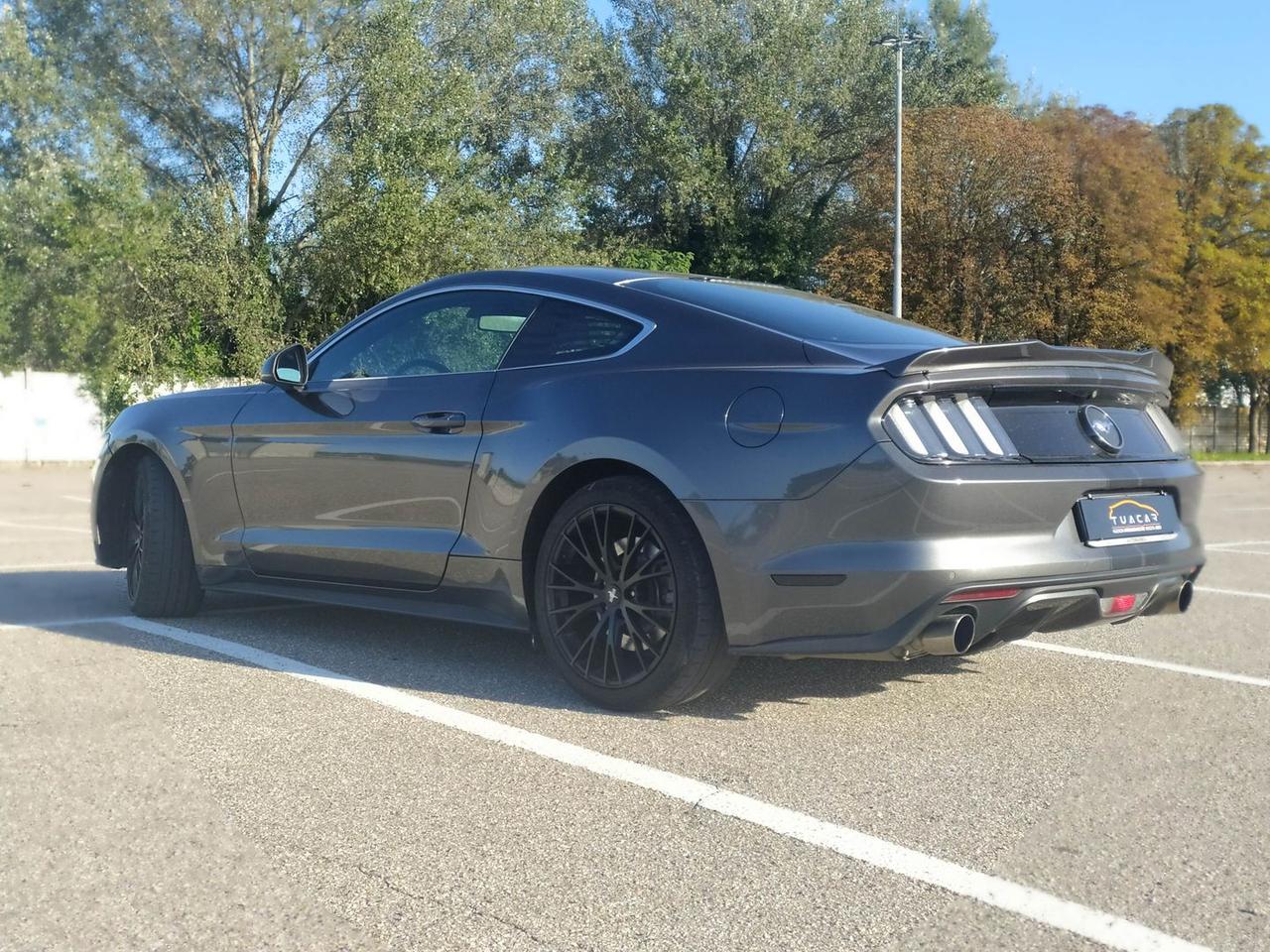 Ford Mustang 2.3 EcoBoost #6892
