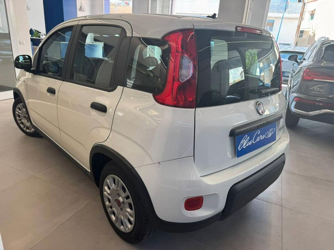 Fiat Panda III 1.0 firefly hybrid City Life s&s 70cv