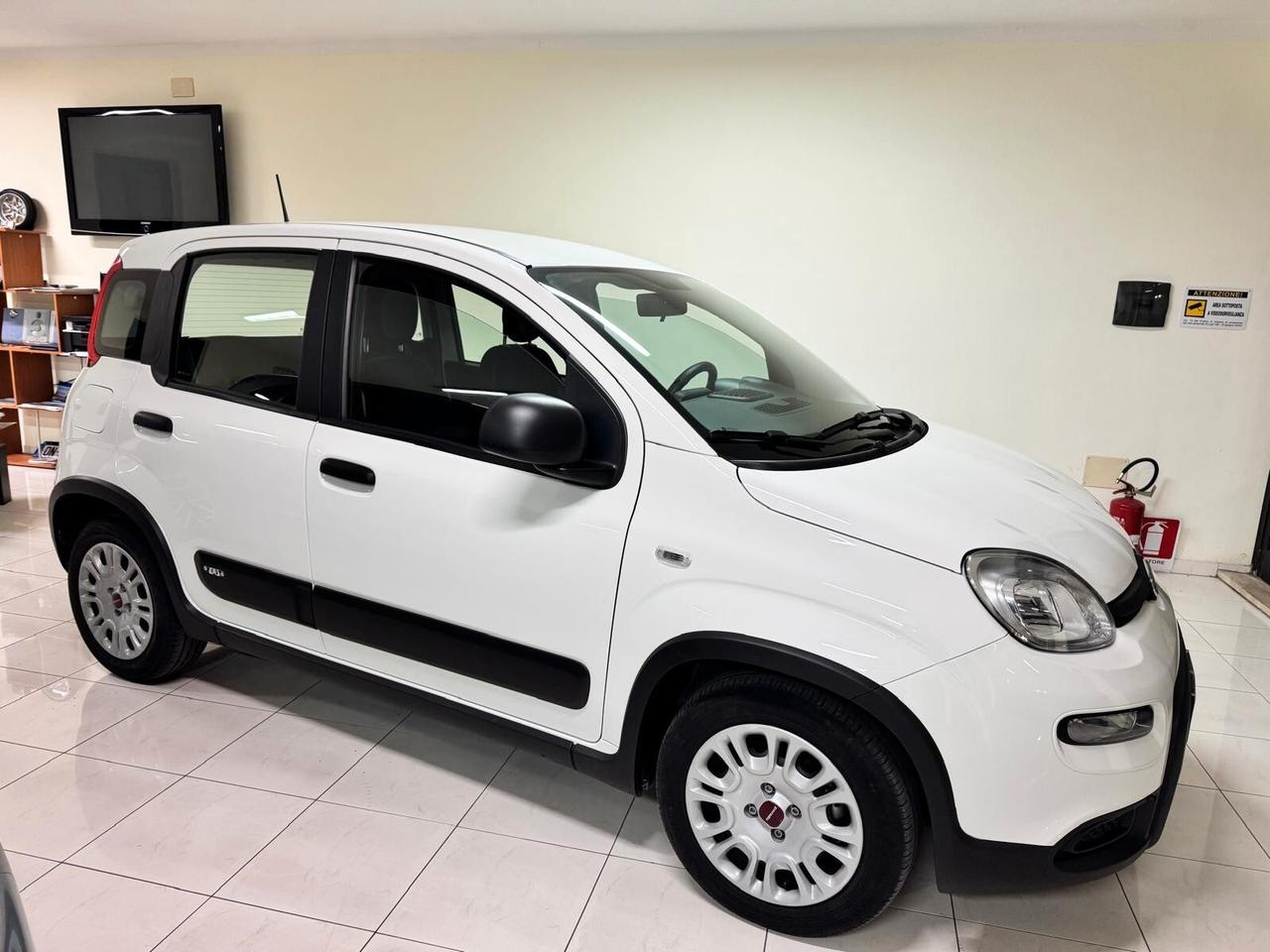 Fiat Panda 1.0 FireFly S&S Hybrid AZIENDALE