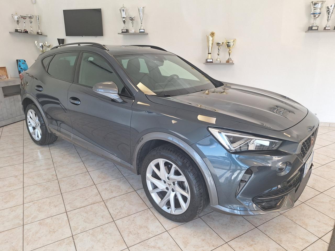 Cupra Formentor 2.0 TDI 4Drive DSG