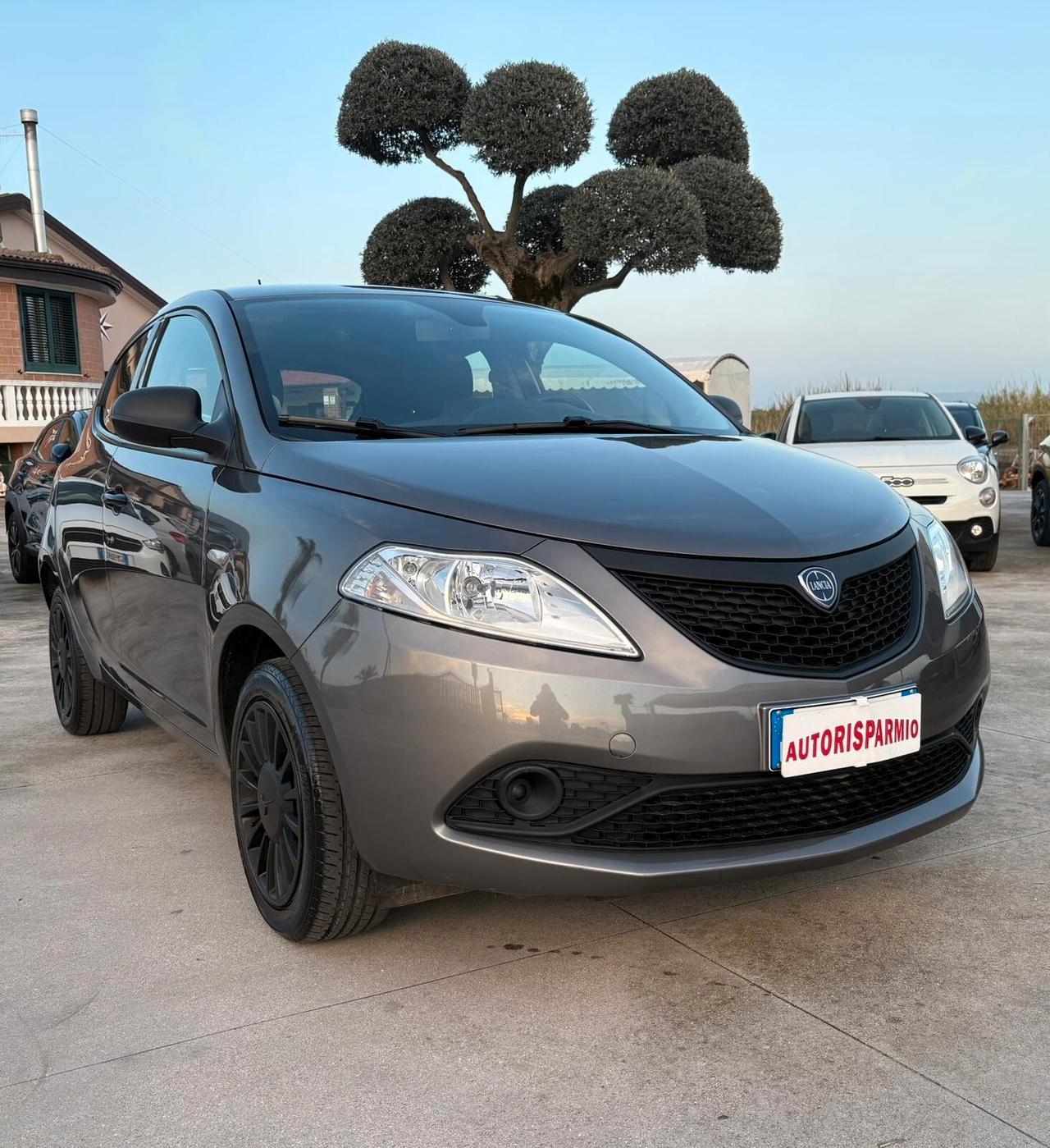 Lancia Ypsilon 1.0 FireFly 5P Hybrid Ecochic Silver