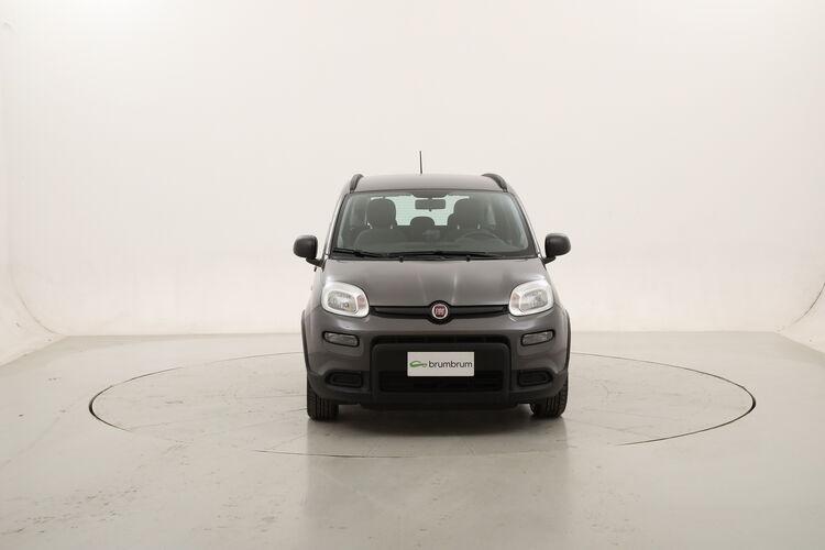 Fiat Panda Hybrid City Life BR308092 1.0 Mild Hybrid 70CV