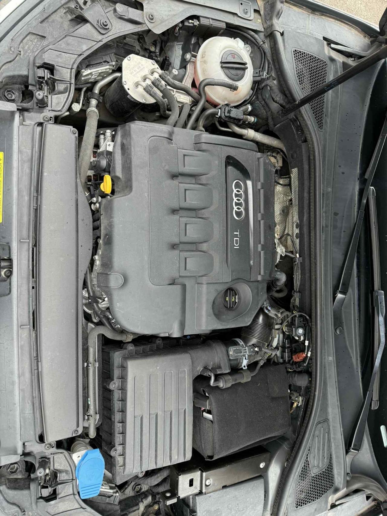 AUDI A3 SPB 1.6 CLEAN DIESEL QUATTRO EDITION 110cv PERFETTA