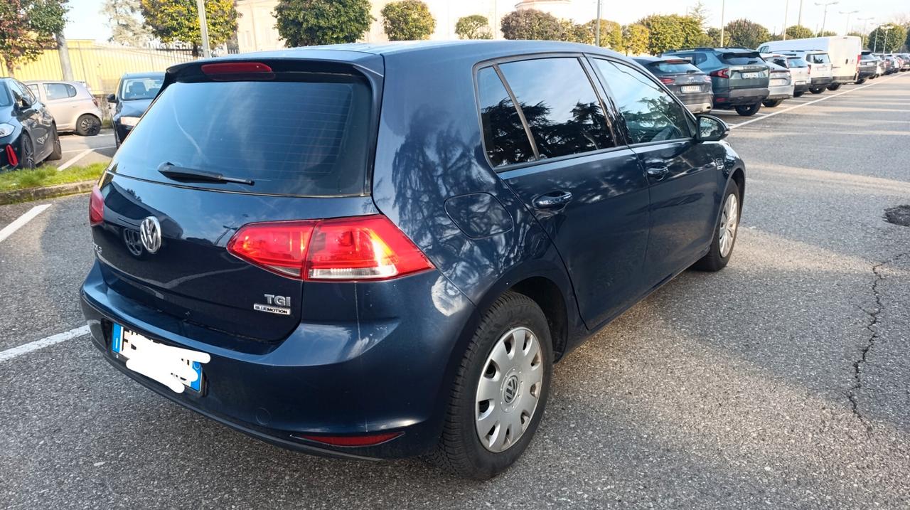 Volkswagen Golf Business 1.4 TGI 5p. Highline BlueMotion