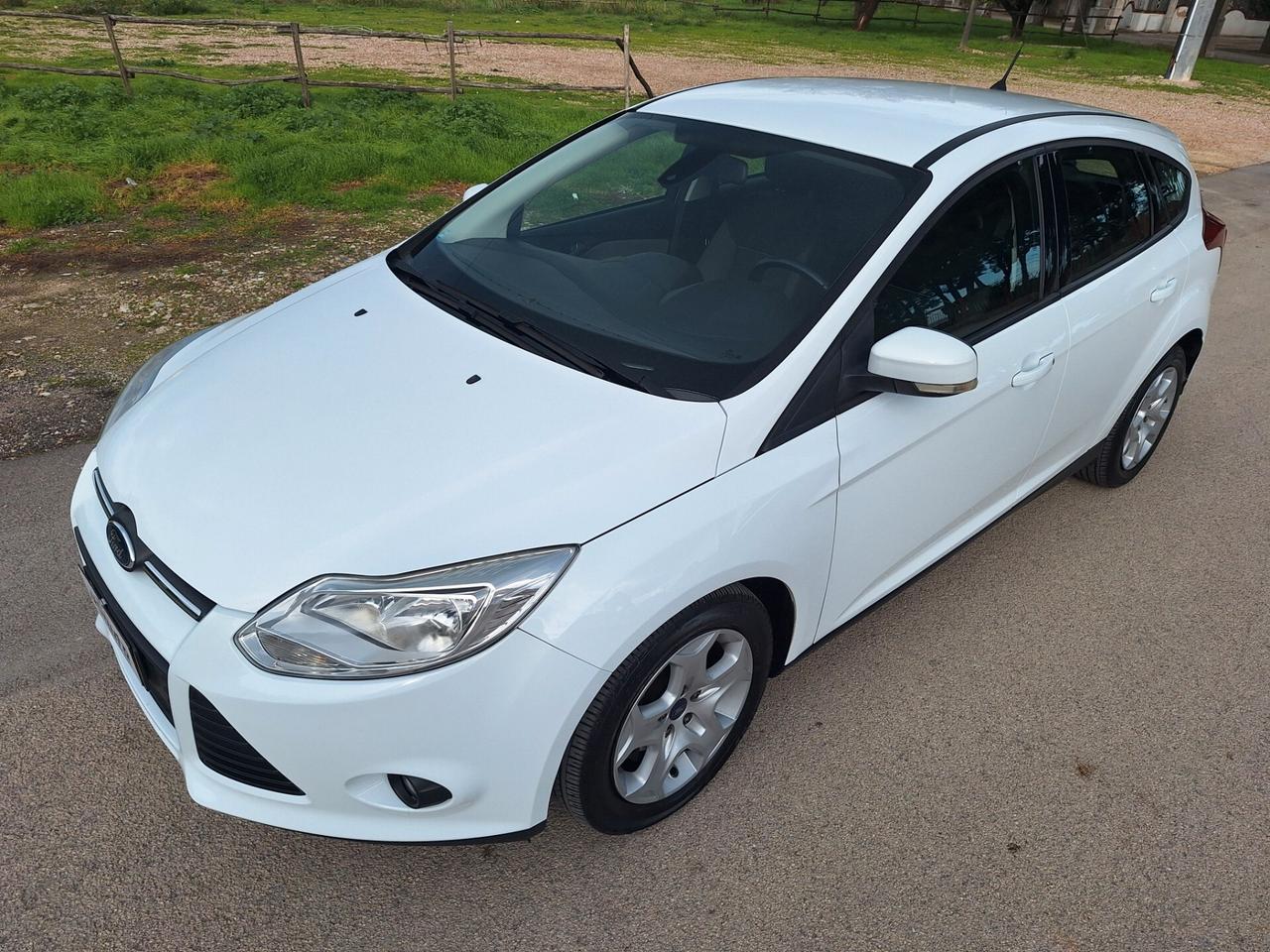 Ford Focus 1.6 TDCi 95 CV BERLINA PERFETTA 2014