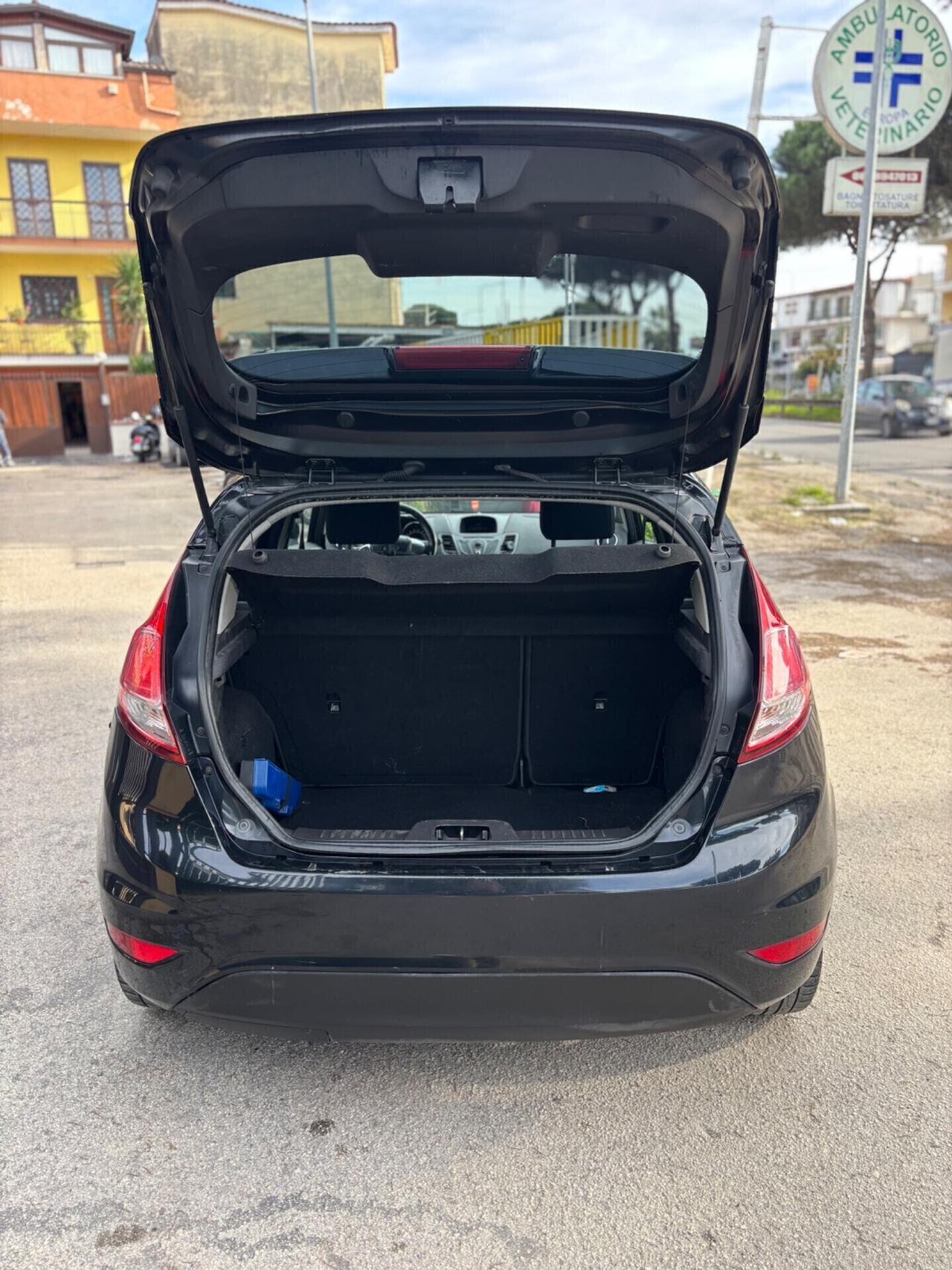 Ford Fiesta 1.5 TDCi 75CV 5 porte Titanium