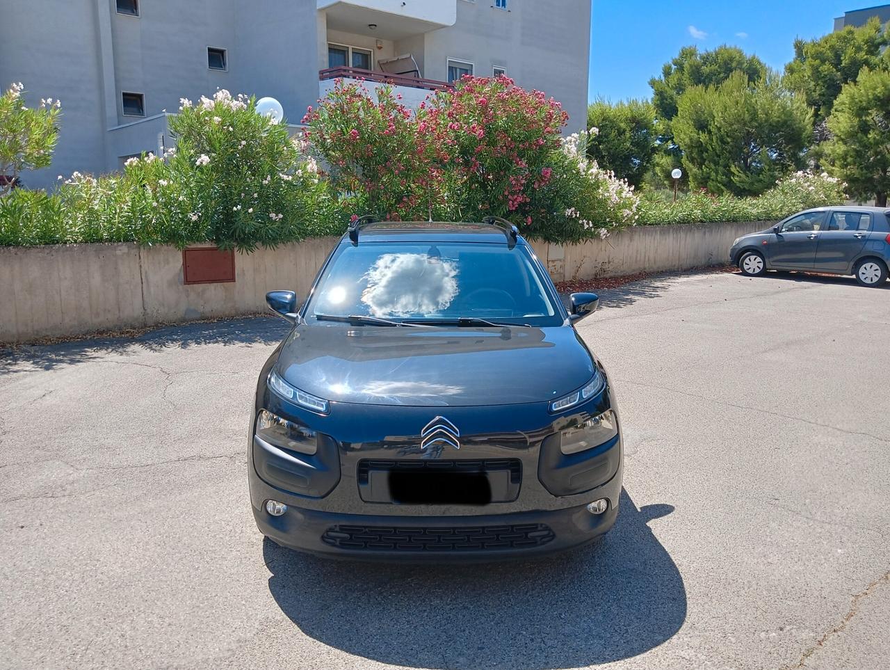 Citroen C4 Cactus BlueHDi 100 Shine